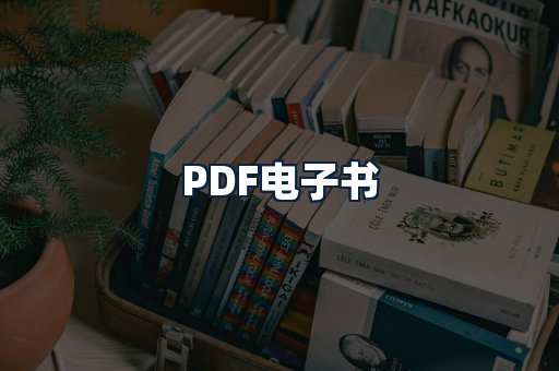 PDF电子书